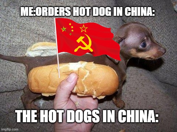 Hot dogs in china be like... | ME:ORDERS HOT DOG IN CHINA:; THE HOT DOGS IN CHINA: | image tagged in hot dog | made w/ Imgflip meme maker