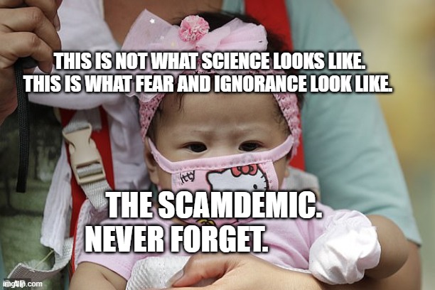 Asian Baby In Hello Kitty Face Mask | THIS IS NOT WHAT SCIENCE LOOKS LIKE. THIS IS WHAT FEAR AND IGNORANCE LOOK LIKE. THE SCAMDEMIC.              NEVER FORGET. | image tagged in asian baby in hello kitty face mask | made w/ Imgflip meme maker