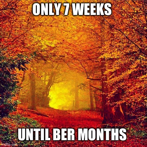 Only 7 weeks until The Ber Months | ONLY 7 WEEKS; UNTIL BER MONTHS | image tagged in autumn walk | made w/ Imgflip meme maker