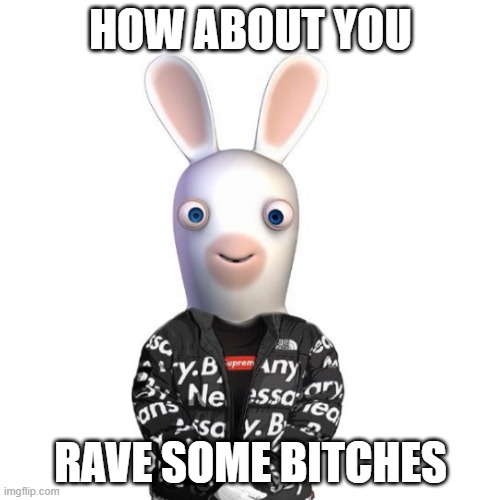 raving rabbids | HOW ABOUT YOU; RAVE SOME BITCHES | image tagged in drip,rabbids | made w/ Imgflip meme maker