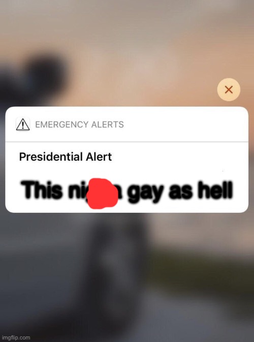 Presidential Alert System Message iPhone | This nigga gay as hell | image tagged in presidential alert system message iphone | made w/ Imgflip meme maker
