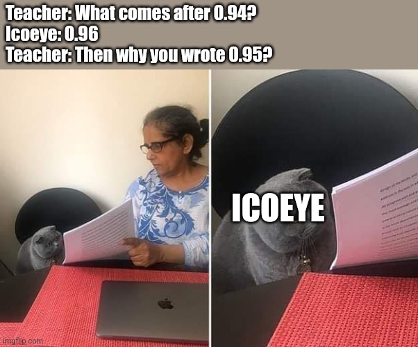 Progressbar95 Updates #3 | Teacher: What comes after 0.94?
Icoeye: 0.96
Teacher: Then why you wrote 0.95? ICOEYE | image tagged in woman showing paper to cat | made w/ Imgflip meme maker