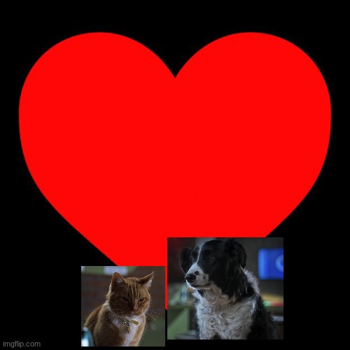 gwen x roger | image tagged in heart,cats,dogs,shipping,warner bros | made w/ Imgflip meme maker