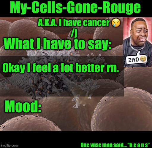 My-Cells-Gone-Rouge announcement | Okay I feel a lot better rn. | image tagged in my-cells-gone-rouge announcement | made w/ Imgflip meme maker