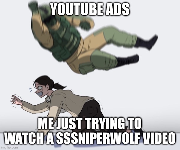 Ads are the worst | YOUTUBE ADS; ME JUST TRYING TO WATCH A SSSNIPERWOLF VIDEO | image tagged in rainbow six - fuze the hostage | made w/ Imgflip meme maker