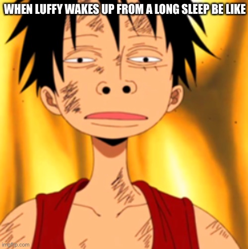 Luffy Huh | WHEN LUFFY WAKES UP FROM A LONG SLEEP BE LIKE | image tagged in luffy huh | made w/ Imgflip meme maker