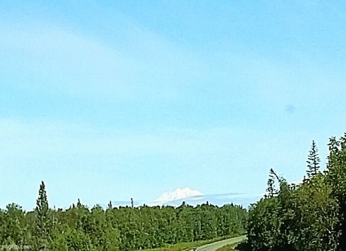 Forest with Denali in the distance aka the tallest mountain in North America | made w/ Imgflip meme maker