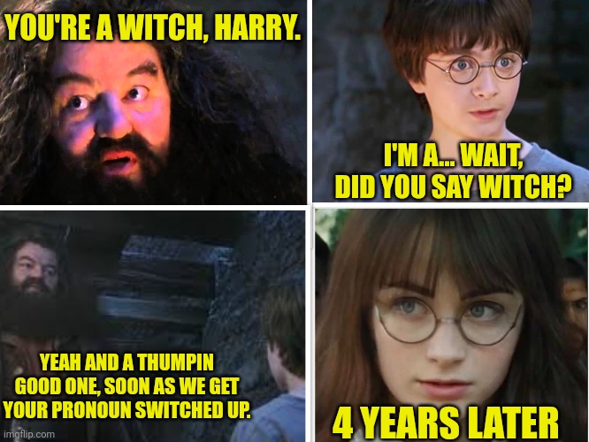 Your a Witch, Harry!! | YOU'RE A WITCH, HARRY. I'M A... WAIT, DID YOU SAY WITCH? YEAH AND A THUMPIN GOOD ONE, SOON AS WE GET YOUR PRONOUN SWITCHED UP. 4 YEARS LATER | image tagged in transgender,harry potter,hagrid,you're a wizard harry,funny memes,trans | made w/ Imgflip meme maker