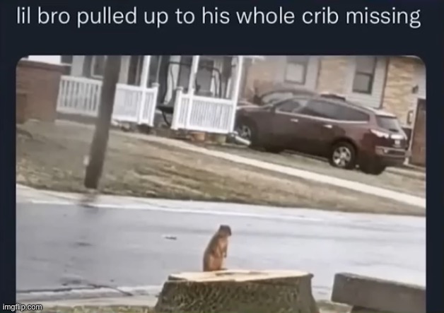 . | made w/ Imgflip meme maker