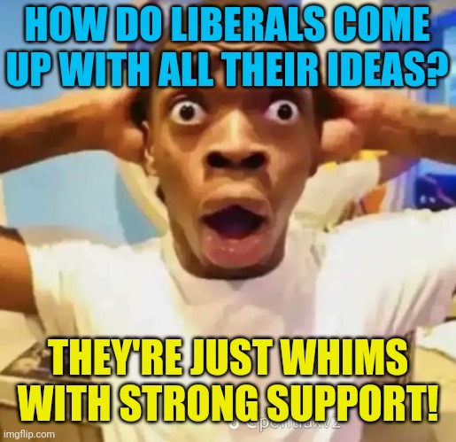 Shocked black guy | HOW DO LIBERALS COME UP WITH ALL THEIR IDEAS? THEY'RE JUST WHIMS WITH STRONG SUPPORT! | image tagged in shocked black guy | made w/ Imgflip meme maker