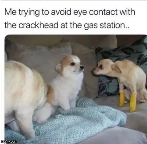 crack heads just be starring | image tagged in memes,funny memes | made w/ Imgflip meme maker