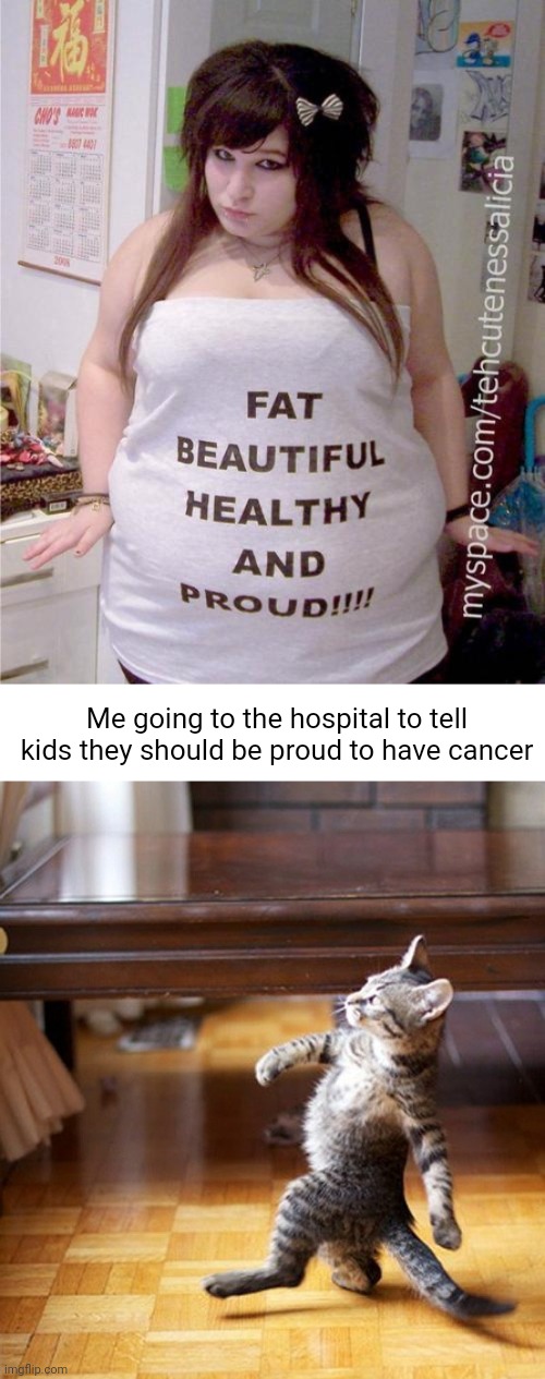 Meme #2,461 | Me going to the hospital to tell kids they should be proud to have cancer | image tagged in cat walking like a boss,pride,cancer,dark humor,funny,fat | made w/ Imgflip meme maker