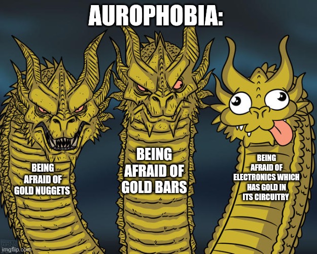 Afraid of electronics??? | AUROPHOBIA:; BEING AFRAID OF GOLD BARS; BEING AFRAID OF ELECTRONICS WHICH HAS GOLD IN ITS CIRCUITRY; BEING AFRAID OF GOLD NUGGETS | image tagged in three-headed dragon | made w/ Imgflip meme maker