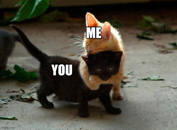 kitten hug | ME; YOU | image tagged in kitten hug | made w/ Imgflip meme maker