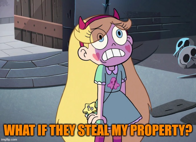 Star Butterfly freaked out | WHAT IF THEY STEAL MY PROPERTY? | image tagged in star butterfly freaked out | made w/ Imgflip meme maker
