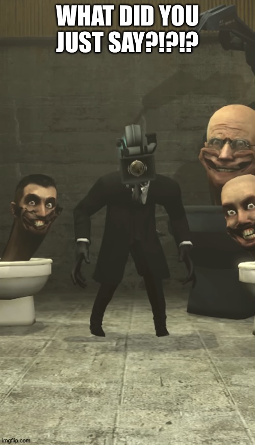Skibidi Toilets and Cameraman staring at you | WHAT DID YOU JUST SAY?!?!? | image tagged in skibidi toilets and cameraman staring at you | made w/ Imgflip meme maker