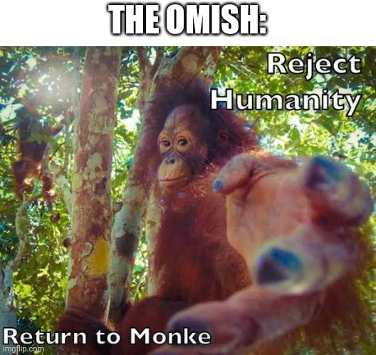 Return to monke | THE OMISH: | image tagged in return to monke | made w/ Imgflip meme maker