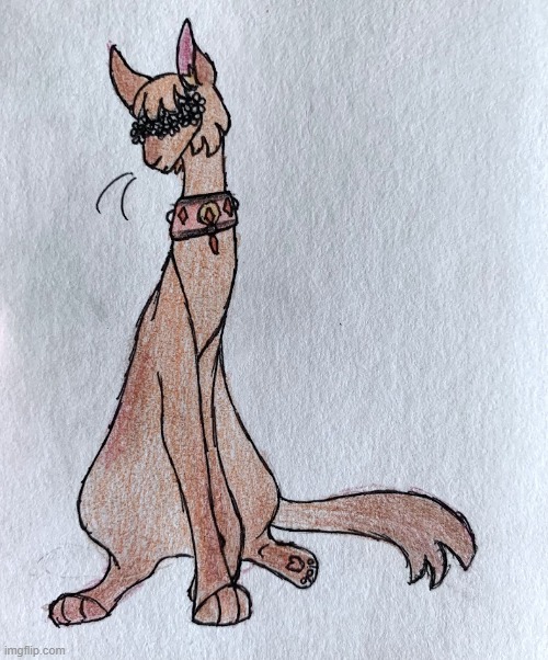 Amberpaw/Pikepaw, the unfortunately paralyzed Warriors AU version of Inscryption's Pike Mage | made w/ Imgflip meme maker