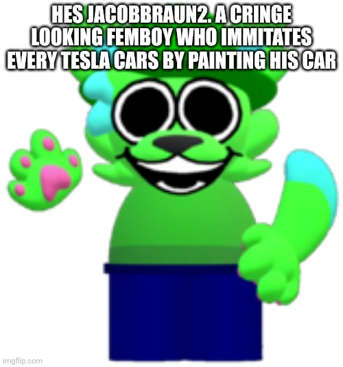bandu furry | HES JACOBBRAUN2. A CRINGE LOOKING FEMBOY WHO IMMITATES EVERY TESLA CARS BY PAINTING HIS CAR | image tagged in bandu furry | made w/ Imgflip meme maker