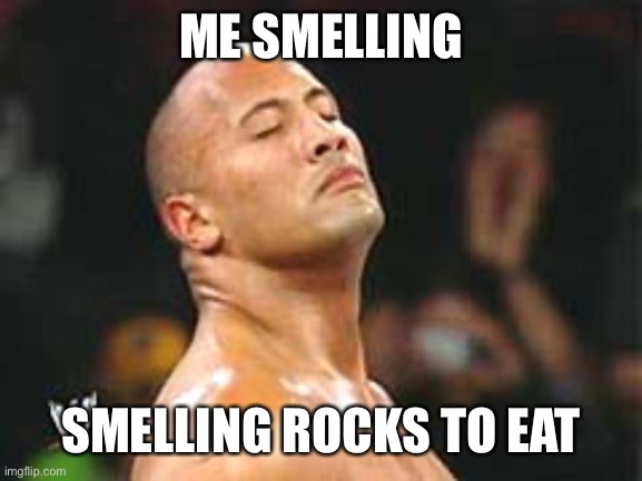 fr fr cannibalism (can i mod pls i eaten more rocks than anyone) | ME SMELLING; SMELLING ROCKS TO EAT | image tagged in the rock smelling | made w/ Imgflip meme maker