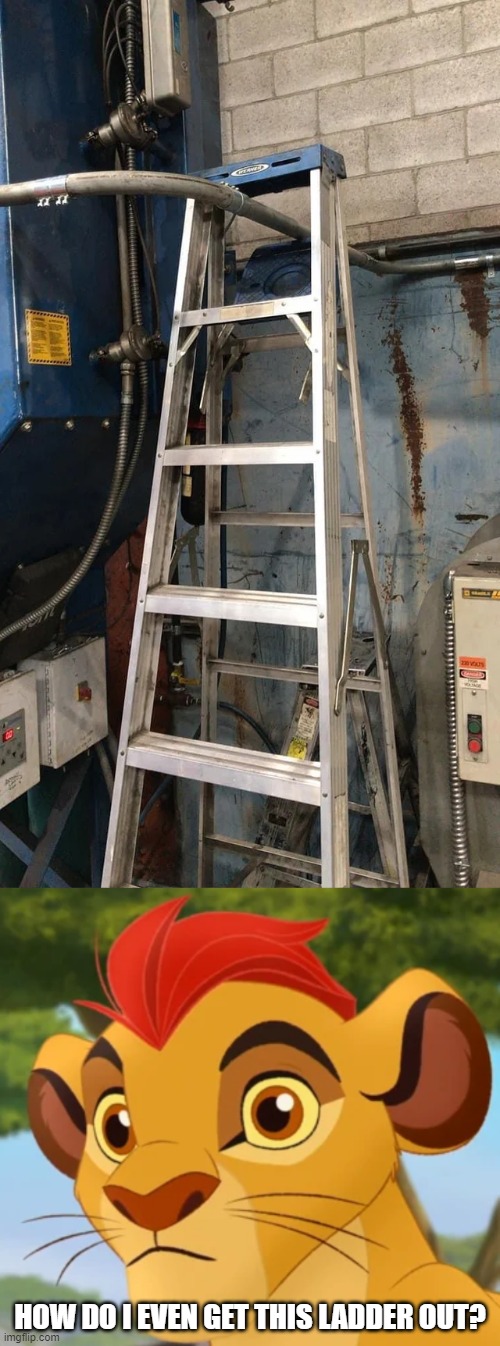 They put the ladder back after I moved it | HOW DO I EVEN GET THIS LADDER OUT? | image tagged in confused kion,you had one job,memes,funny | made w/ Imgflip meme maker