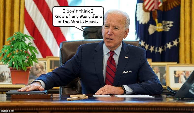 Merryjoeana | I don't think I know of any Mary Jane in the White House. | image tagged in white house weed,mary jane,president biden,joints,pot,marijuana | made w/ Imgflip meme maker