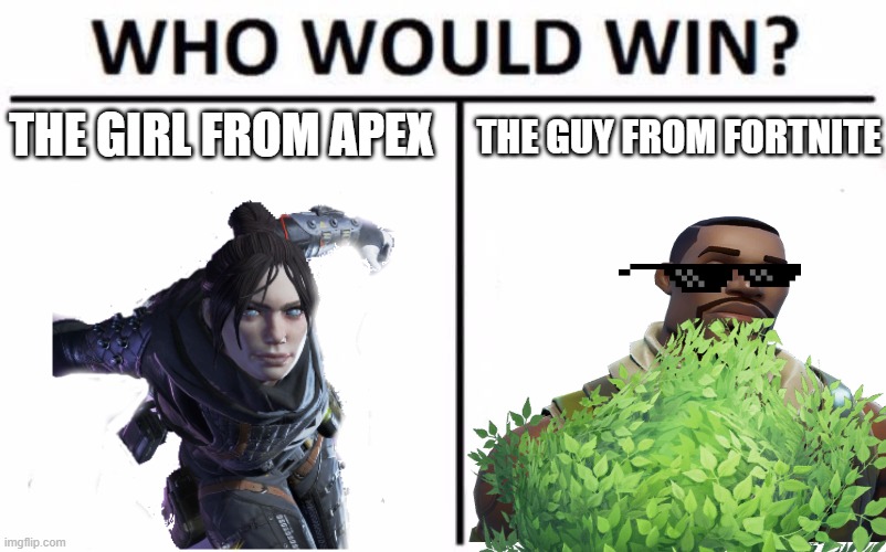 THE GIRL FROM APEX; THE GUY FROM FORTNITE | image tagged in apex vs fortnite | made w/ Imgflip meme maker