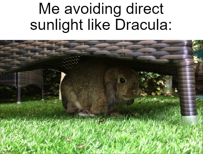 I gotta avoid the Sunlight! | Me avoiding direct sunlight like Dracula: | image tagged in bunny hiding in the shade,bunnies,summer,memes,funny,relatable memes | made w/ Imgflip meme maker