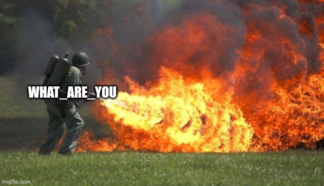 flamethrower | WHAT_ARE_YOU | image tagged in flamethrower | made w/ Imgflip meme maker