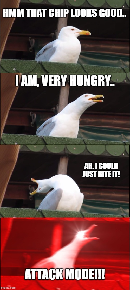 The thoughts of this bird. :0 | HMM THAT CHIP LOOKS GOOD.. I AM, VERY HUNGRY.. AH. I COULD JUST BITE IT! ATTACK MODE!!! | image tagged in memes,inhaling seagull | made w/ Imgflip meme maker