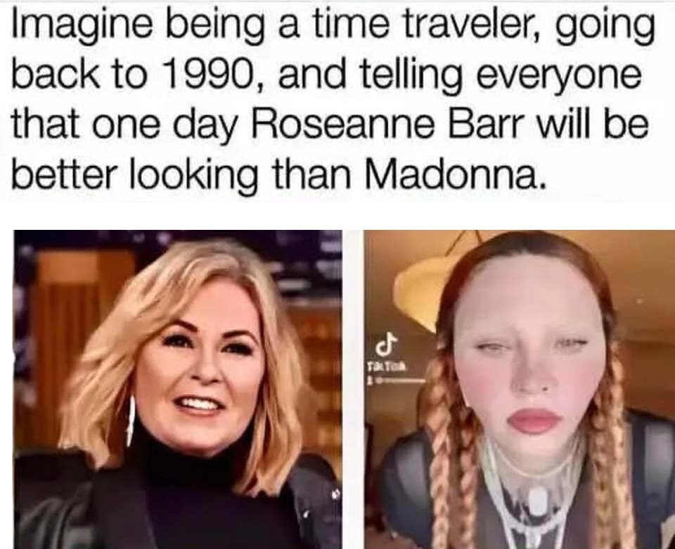 This is what 'wokism' does to you. Fox vs. Dog. | image tagged in wokism,woke,fox,dog,roseanne barr,madonna | made w/ Imgflip meme maker