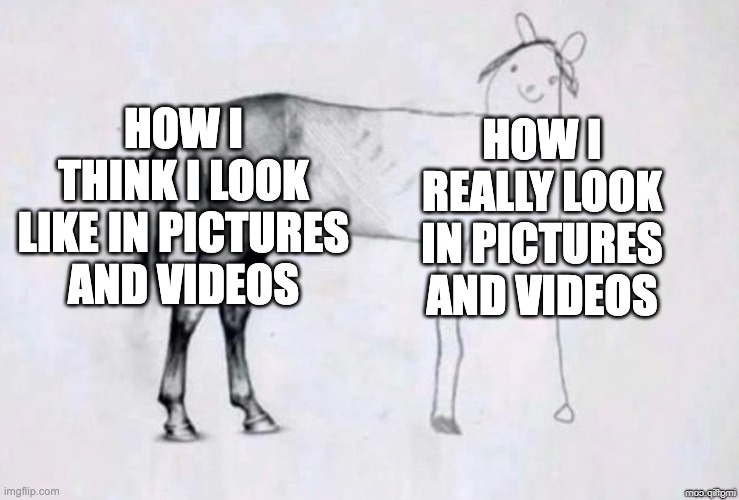 why is this so true? | HOW I THINK I LOOK LIKE IN PICTURES AND VIDEOS; HOW I REALLY LOOK IN PICTURES AND VIDEOS | image tagged in horse drawing | made w/ Imgflip meme maker