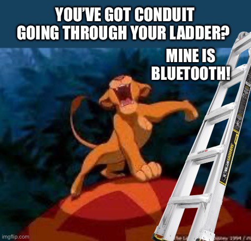 YOU’VE GOT CONDUIT GOING THROUGH YOUR LADDER? MINE IS BLUETOOTH! | image tagged in i just can't wait to be king | made w/ Imgflip meme maker