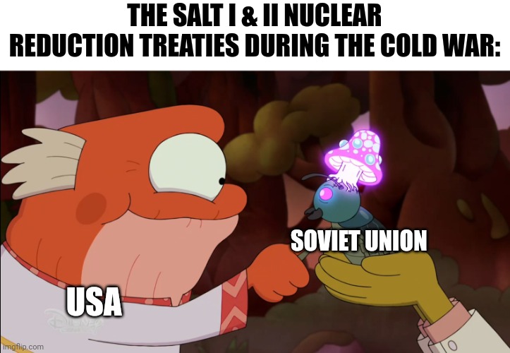 SALT I and II | THE SALT I & II NUCLEAR REDUCTION TREATIES DURING THE COLD WAR:; SOVIET UNION; USA | image tagged in a truce | made w/ Imgflip meme maker
