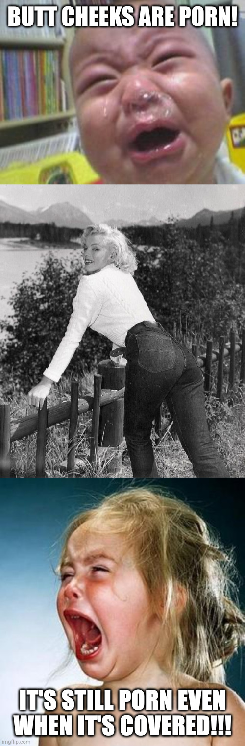 Crusaders won't listen, but that won't stop us from mocking their bullshit | BUTT CHEEKS ARE PORN! IT'S STILL PORN EVEN
WHEN IT'S COVERED!!! | image tagged in funny crying baby,marilyn monroe jeans,internet tantrum | made w/ Imgflip meme maker