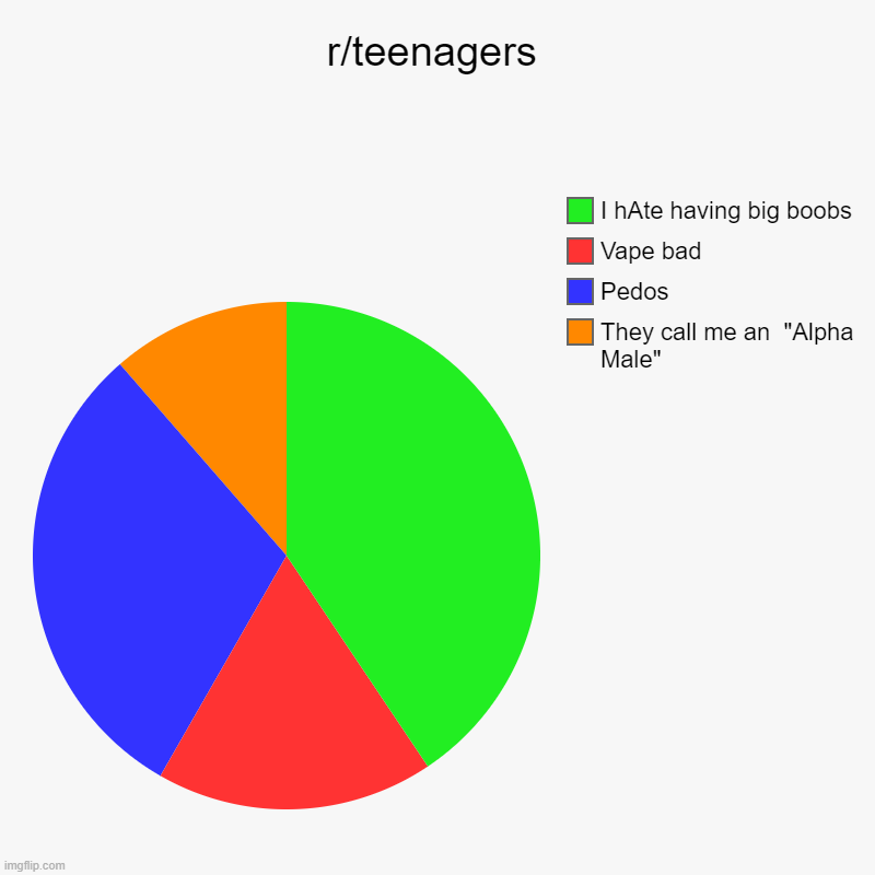 r/teenagers | They call me an  "Alpha Male", Pedos, Vape bad, I hAte having big boobs | image tagged in charts,pie charts | made w/ Imgflip chart maker