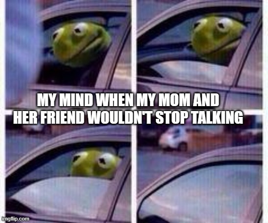 Kermit rolls up window | MY MIND WHEN MY MOM AND HER FRIEND WOULDN'T STOP TALKING | image tagged in kermit rolls up window | made w/ Imgflip meme maker