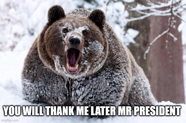 Cocaine bear | YOU WILL THANK ME LATER MR PRESIDENT | image tagged in cocaine bear | made w/ Imgflip meme maker