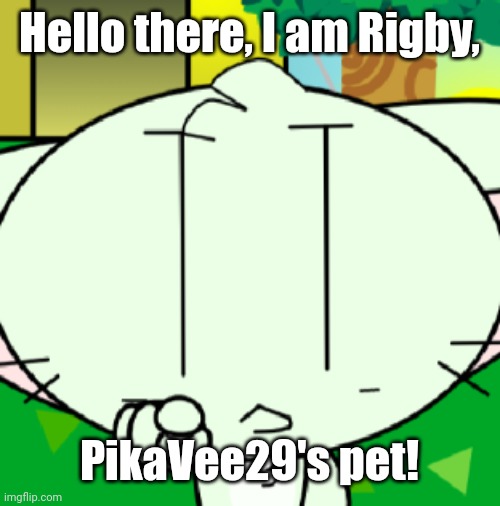 Rigby | Hello there, I am Rigby, PikaVee29's pet! | image tagged in rigby did you eat all the cookies | made w/ Imgflip meme maker