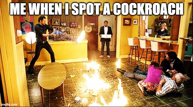 chaotic house | ME WHEN I SPOT A COCKROACH | image tagged in chaotic house | made w/ Imgflip meme maker