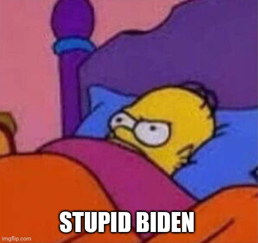 angry homer simpson in bed | STUPID BIDEN | image tagged in angry homer simpson in bed | made w/ Imgflip meme maker