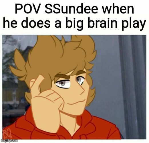 Ssundee Tord MeMe | POV SSundee when he does a big brain play | image tagged in tord smart | made w/ Imgflip meme maker