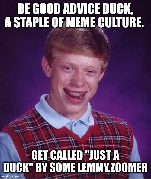 Bad Luck Brian Meme | BE GOOD ADVICE DUCK, A STAPLE OF MEME CULTURE. GET CALLED "JUST A DUCK" BY SOME LEMMY.ZOOMER | image tagged in memes,bad luck brian | made w/ Imgflip meme maker