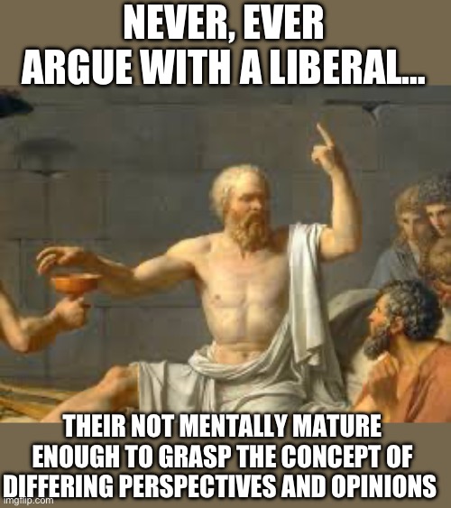NEVER, EVER ARGUE WITH A LIBERAL…; THEIR NOT MENTALLY MATURE ENOUGH TO GRASP THE CONCEPT OF DIFFERING PERSPECTIVES AND OPINIONS | image tagged in philosophy,liberals,stupid people,republicans,donald trump | made w/ Imgflip meme maker