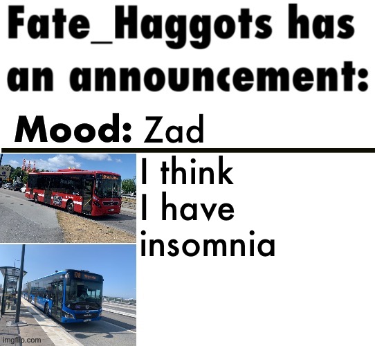 Fate_Haggots announcement template 3 | Zad; I think I have insomnia | image tagged in fate_haggots announcement template 3 | made w/ Imgflip meme maker