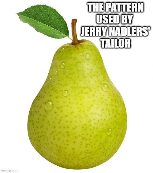 Pear | THE PATTERN
USED BY 
JERRY NADLERS'
TAILOR | image tagged in pear | made w/ Imgflip meme maker