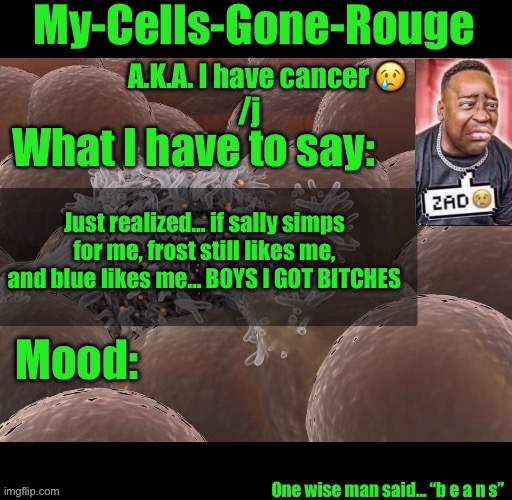 My-Cells-Gone-Rouge announcement | Just realized… if sally simps for me, frost still likes me, and blue likes me… BOYS I GOT BITCHES | image tagged in my-cells-gone-rouge announcement | made w/ Imgflip meme maker