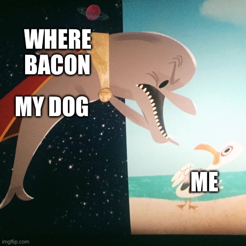 My dog wanting bacon | WHERE
BACON; MY DOG; ME | image tagged in where fish blank | made w/ Imgflip meme maker