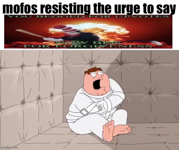 fr tho ??? | mofos resisting the urge to say | image tagged in insanity peter | made w/ Imgflip meme maker