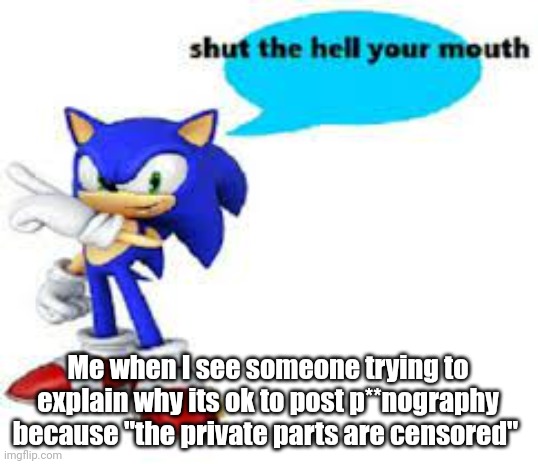 Shut the hell your mouth | Me when I see someone trying to explain why its ok to post p**nography because "the private parts are censored" | image tagged in shut the hell your mouth | made w/ Imgflip meme maker